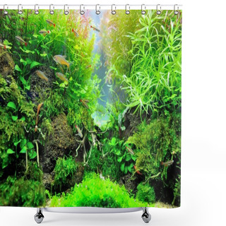 Personality  Aquarium Shower Curtains