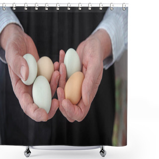 Personality  Organic Araucana Eggs Shower Curtains