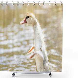 Personality  White Small Indoda Tries To Fly In Bright Summer Day Shower Curtains