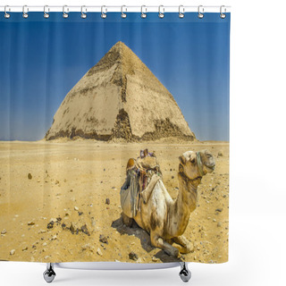 Personality  Camel Near Pyramid Shower Curtains