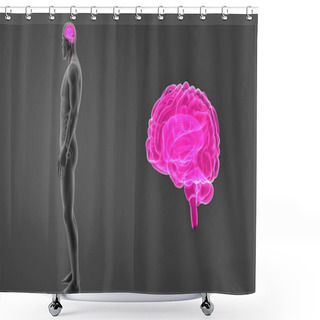 Personality  Brain With Body Anterior View Shower Curtains