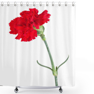 Personality  Red Carnation Shower Curtains