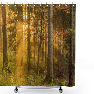 Personality  Black Forest Shower Curtains