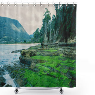 Personality  Tessellated Pavement In Pirates Bay. Shower Curtains