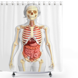 Personality  Female Skeleton And Digestive System Shower Curtains
