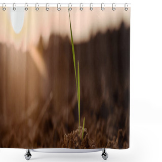 Personality  Panoramic Shot Of Small Green Plant With Leaves  Shower Curtains