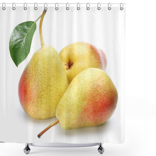 Personality  Three Ripe Pears. Shower Curtains