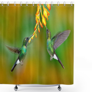 Personality  Hummingbirds With Orange Flower. Shower Curtains
