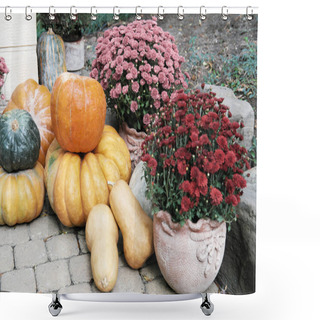 Personality  Thanksgiving Decorated House Entrance With Various Size And Shape Pumpkins And Chrysanthemum. Patio Or Backyard Decorated For The Halloween, Thanksgiving, Autumn Season. Shower Curtains
