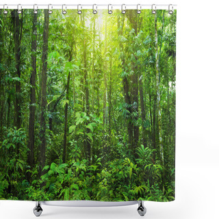 Personality  Dense Forest. Shower Curtains