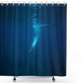 Personality  Partial View Of Man Diving Into Ocean Shower Curtains