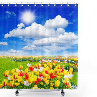 Personality  Tulip Flowers Field. Spring Landscape With Sunny Blue Sky Shower Curtains