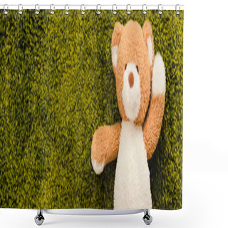 Personality  Panoramic Shot Of Plush Teddy Bear On Green Soft Carpet Shower Curtains