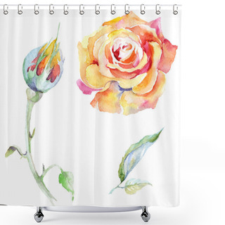 Personality  Orange Rose Flowers. Watercolor Background Illustration Set. Watercolour Drawing Fashion Aquarelle Isolated. Isolated Rose Illustration Element. Shower Curtains