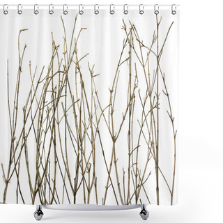 Personality  Branches Background Shower Curtains