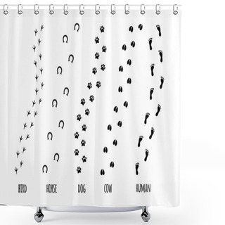 Personality  Flat Black Set Of Different Animal Foot Print Path Shower Curtains