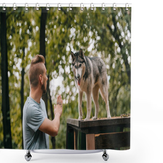 Personality  Cynologist Gesturing Command To Husky Dog On Obstacle Shower Curtains