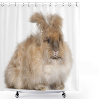 Personality  English Angora Rabbit In Front Of White Background Shower Curtains