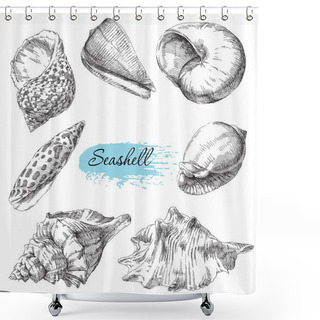 Personality  Set Of Various Sea Shells Shower Curtains