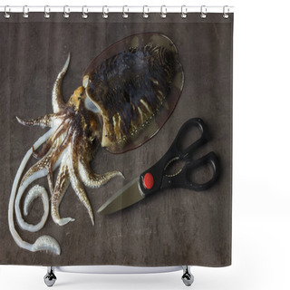 Personality  Delicious Raw Cuttlefish Lies On The Surface Of A Dark Stone.  Shower Curtains
