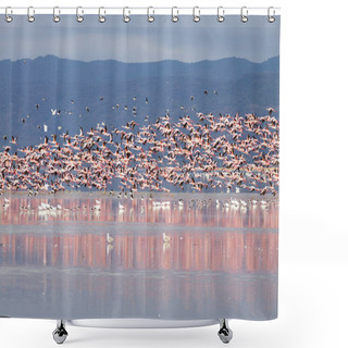 Personality  Flock Of Pink Flamingos From Lake Manyara, Tanzania. African Safari Shower Curtains