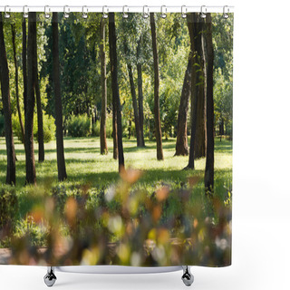 Personality  Selective Focus Of Trees With Green Leaves In Peaceful Park Shower Curtains