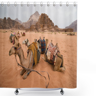 Personality  Bedouin Camels Taking A Rest Shower Curtains