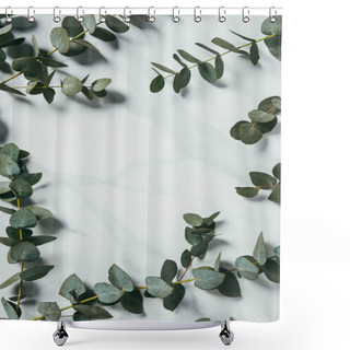 Personality  Top View Of Eucalyptus Leaves On White Background Shower Curtains