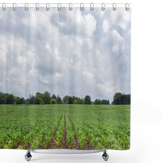 Personality  Freshly Planted Corn Rows Lead To Dramatic Sky And Copy Space Shower Curtains