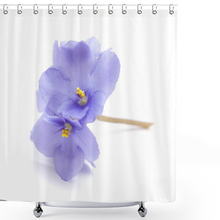 Personality  Beautiful Blue African Violet Isolated On White Background  Shower Curtains