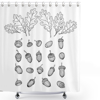 Personality  Set Of Acorns And Oak Leaves, Elements Of Decorative Ornament Or Pattern, Vector Illustration With Black Ink Contour Lines Isolated On A White Background In Doodle & Hand Drawn Style Shower Curtains