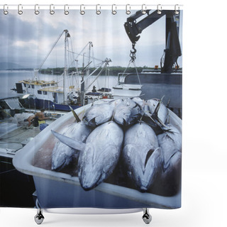 Personality  Tuna Fish In Container On Boat Shower Curtains