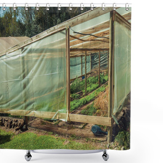 Personality  Vegetable Garden Inside A Greenhouse Shower Curtains