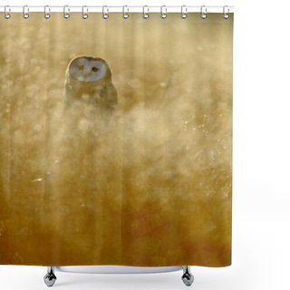 Personality  Barn Owl With Yellow Grass Shower Curtains