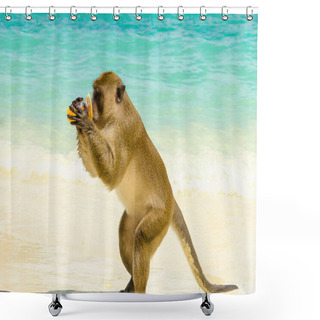 Personality  Monkey Drinking Juice, Thailand Shower Curtains