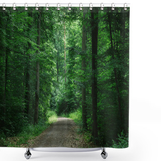 Personality  Path In Green Beautiful Dark Forest In Wurzburg, Germany Shower Curtains
