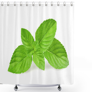 Personality  Mint Leaves Shower Curtains
