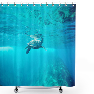 Personality  Green Sea Turtle (Chelonia Mydas) Shower Curtains