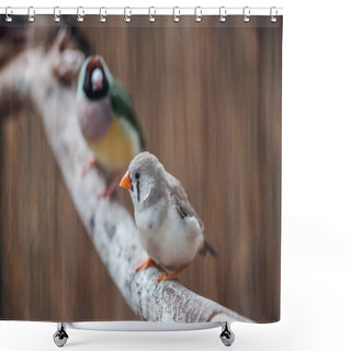 Personality  Selective Focus Of Colorful Birds On Wooden Branch Shower Curtains