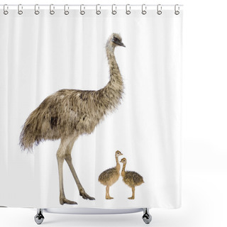 Personality  Emu And Her Chicks Shower Curtains