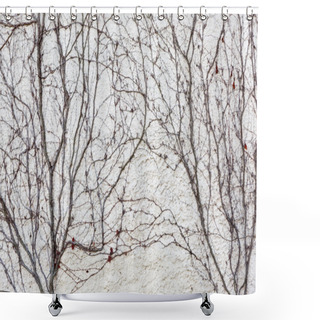 Personality  Dry Vines Cover The Wall Shower Curtains