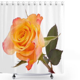 Personality  Orange Rose Shower Curtains