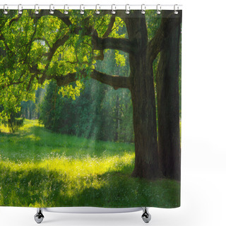 Personality  Green Forest In Sunrise. Beautiful Landscape Background. Shower Curtains