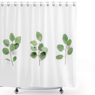 Personality  Green Branch, Leaves Eucalyptus Isolated On White Background. Flat Lay, Top View Minimal Concept. Shower Curtains