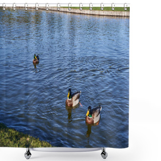 Personality  Animals And Nature, Ducks Swimming In Pond, Fall Season, Autumnal, Sunny Day, Flora, Fauna, Banner Shower Curtains