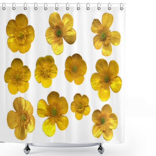 Personality  Butter Cups Blossoms Shower Curtains