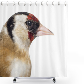 Personality  Close-up Of A European Goldfinch, Carduelis Carduelis, Isolated Shower Curtains