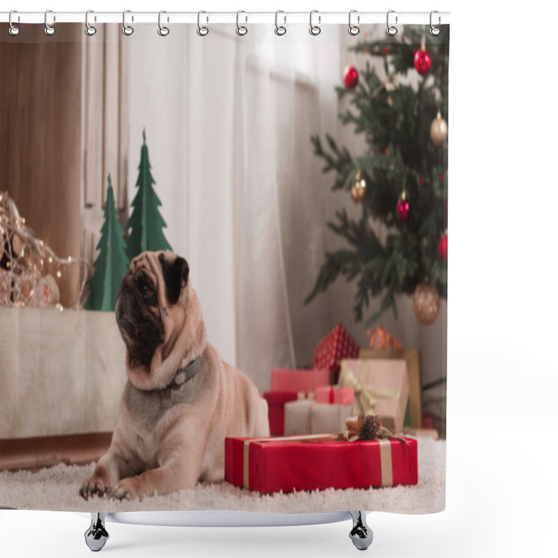 Personality  pug with christmas gift shower curtains