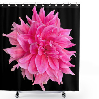 Personality   Dahlia Pinnata Flower Black Background Shower Curtains