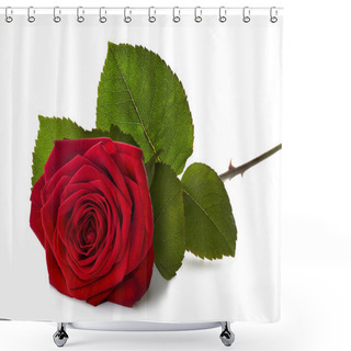 Personality  Red Rose With Stem  Shower Curtains